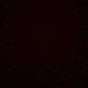 Meet your Posher, Maddie